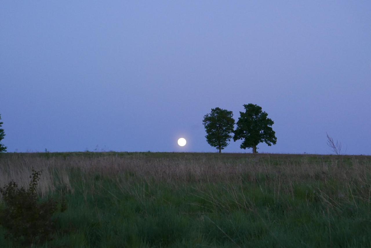 Roze I Jablonie Agroturystyka Gryfów Śląski Esterno foto
