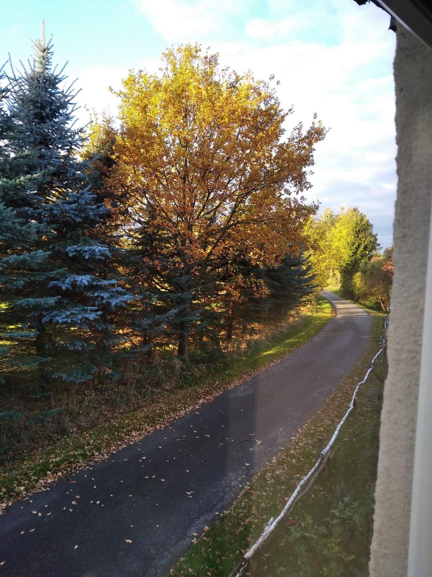 Roze I Jablonie Agroturystyka Gryfów Śląski Esterno foto