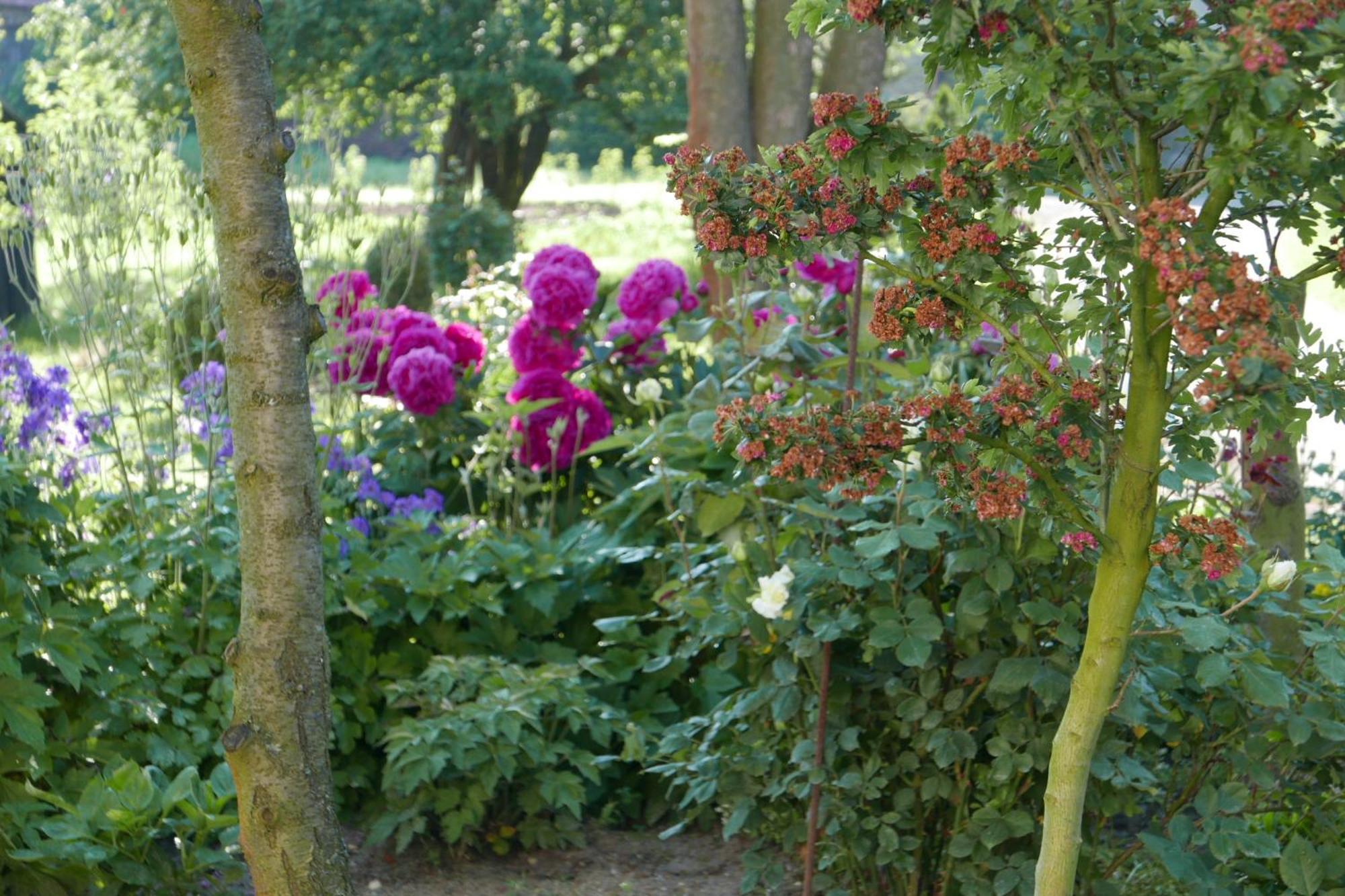 Roze I Jablonie Agroturystyka Gryfów Śląski Esterno foto