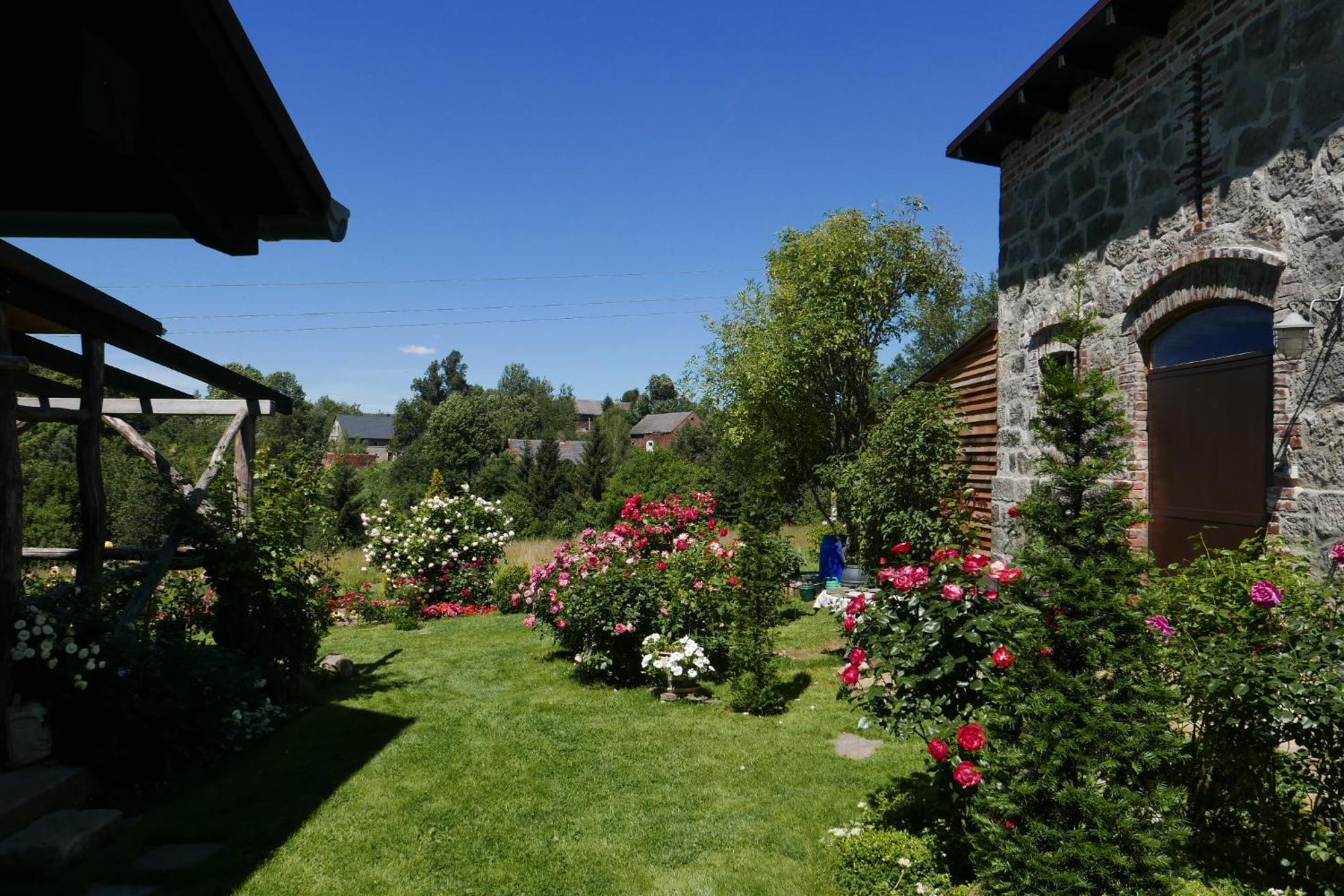 Roze I Jablonie Agroturystyka Gryfów Śląski Esterno foto
