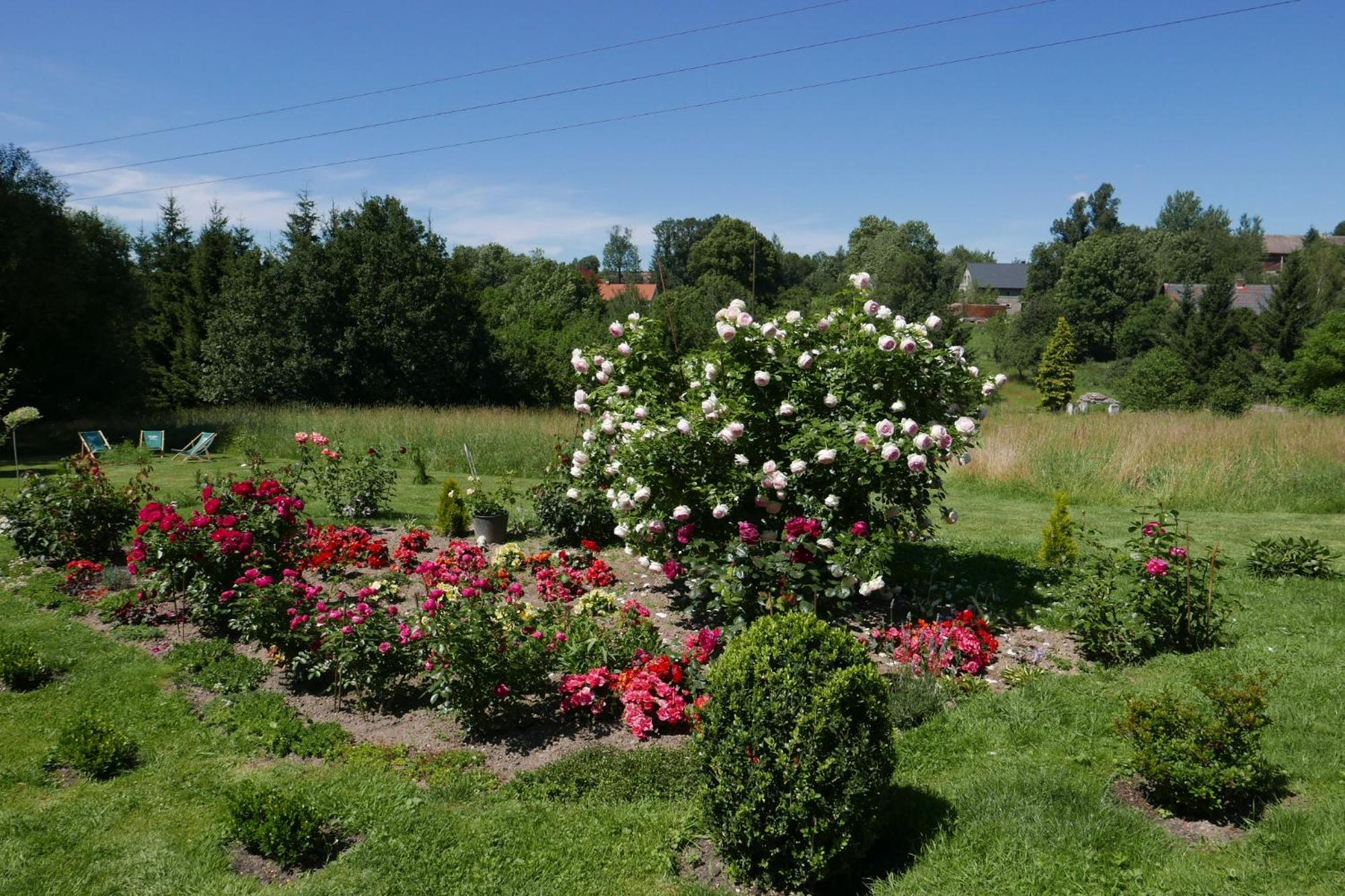 Roze I Jablonie Agroturystyka Gryfów Śląski Esterno foto