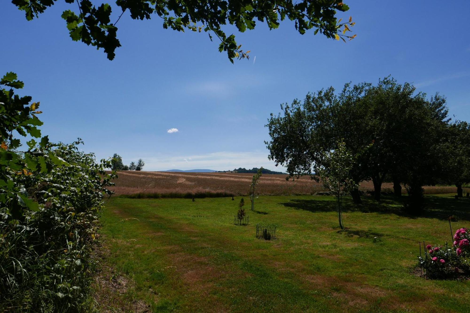 Roze I Jablonie Agroturystyka Gryfów Śląski Esterno foto