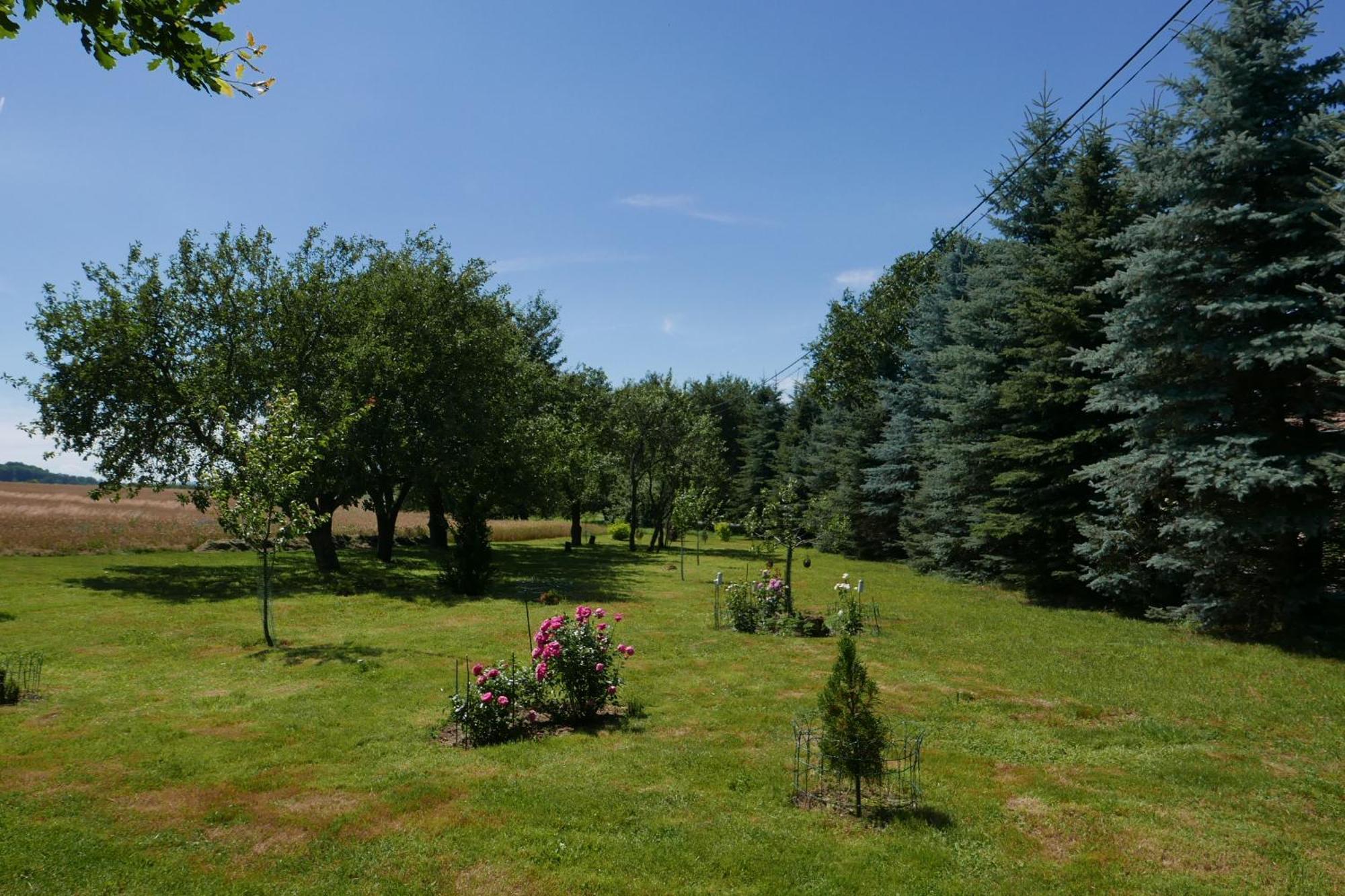 Roze I Jablonie Agroturystyka Gryfów Śląski Esterno foto